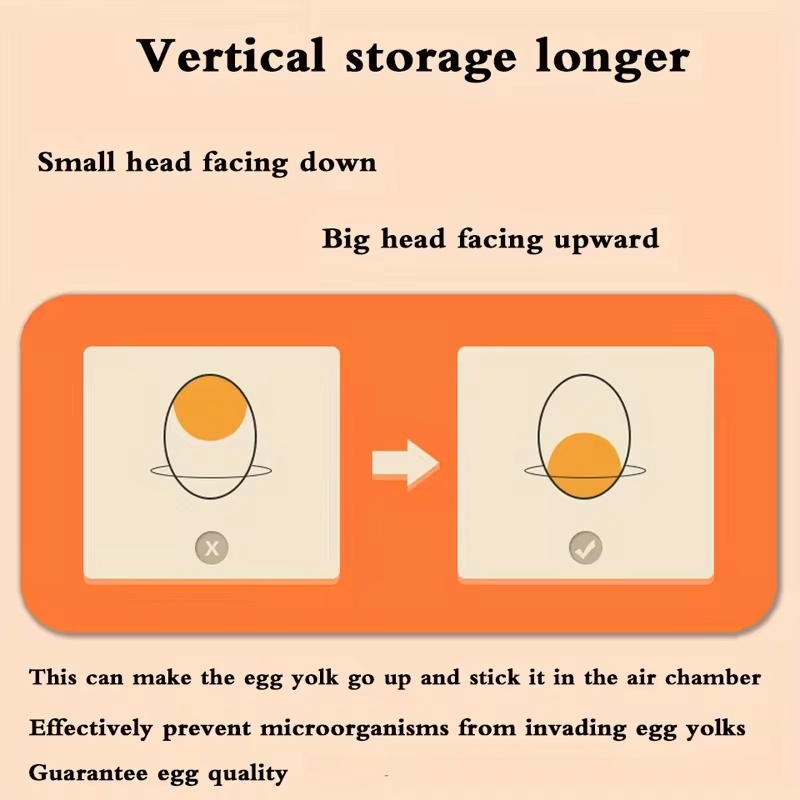Двухуровневый пластиковый конт – обзор и цена Food Storage Eggs